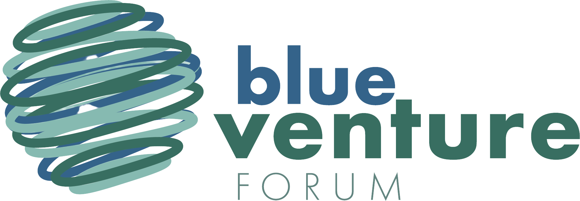 Blue Venture Forum Logo