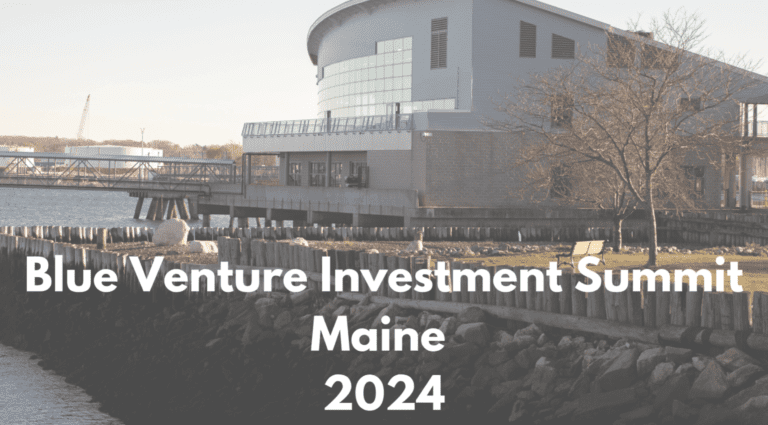 BVIS Maine 2024